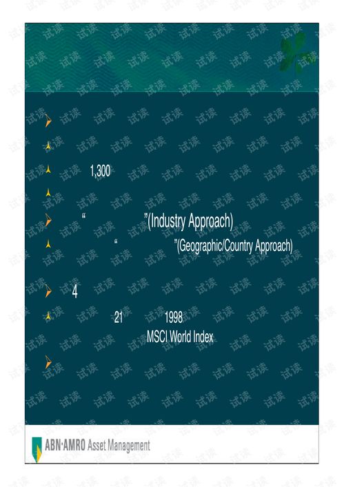 荷銀投資管理公司全球首選投資策略商業(yè)計(jì)劃書精品模板.pdf