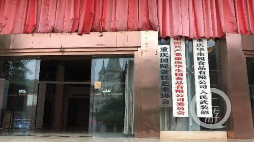 負債約1.8億元 重慶老字號華生園破產(chǎn)重整,現(xiàn)為法院失信被執(zhí)行人